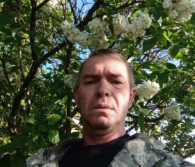 Сергей, 51 год, Матвеев Курган