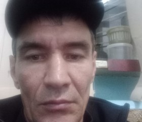 Сергей, 42 года, Дровяная
