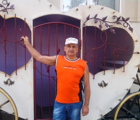 Владимир, 64 года, Олександрія