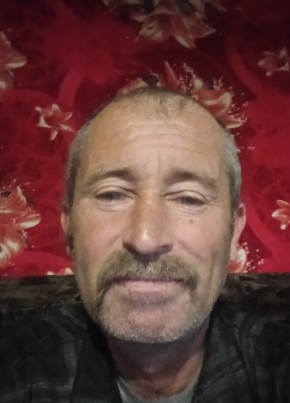Сергей, 53, Россия, Ромны