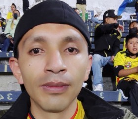 Rommel Vilema, 39 лет, Quito