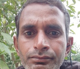 Hanuman Hanuman, 38 лет, Suratgarh