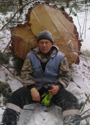 Евгений, 63, Россия, Богданович