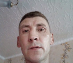 Андрей Пислегин, 41 год, Казань