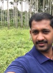 aneesh george, 32 года, Bangalore