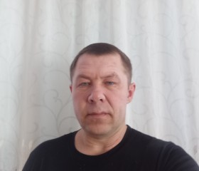 Валентин Павлов, 46 лет, Елабуга