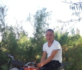 Александр, 36 лет, Toshkent
