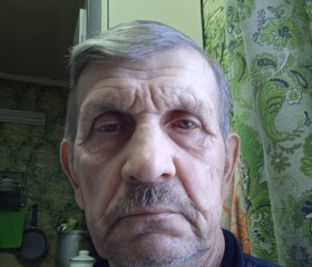 Алекс, 66 лет, Нелидово