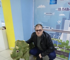 Владимир, 41 год, Ставрополь