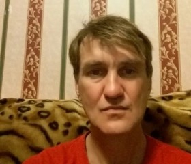 Виктор, 53 года, Владивосток