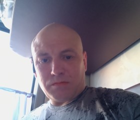 Palych, 39, Belgorod
