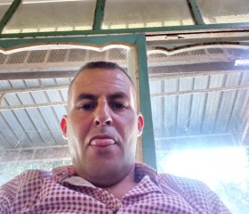 Abdellatif, 42, Reghaia