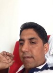 arshadmehmood, 48 лет, Soave