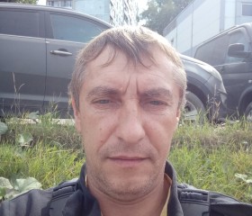 Игорь, 48 лет, Тула