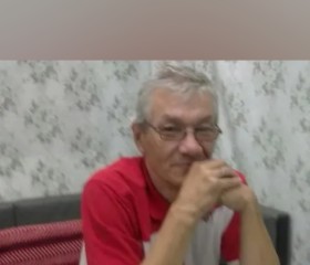 Сергей Трошкин, 66 лет, Өскемен