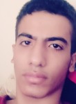 hadi rahmani, 20 лет, تِهران