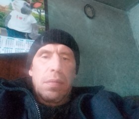Вадим, 46 лет, Тюхтет