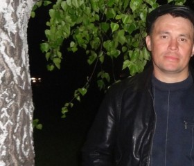алексей, 42 года, Алтайский