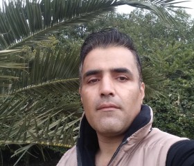Mohammad, 38 лет, تِهران