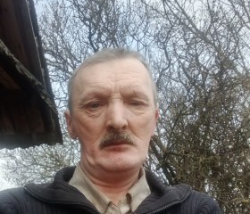 Николай, 51 год, Берасьце