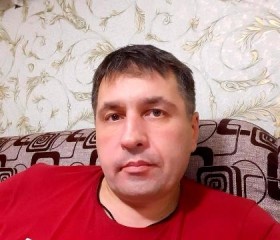 Андрей, 52 года, Волоконовка