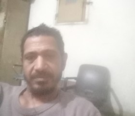 مراجع, 47, Alexandria