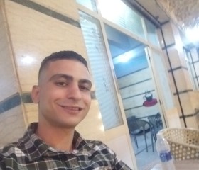 شريف, 24, Kafr ad Dawwar