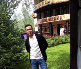 Дамир, 35 лет, Астана