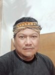 Hanny, 37 лет, Kota Surabaya