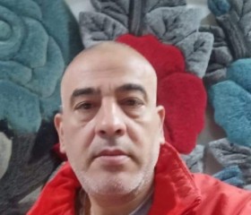محمد, 51, Bilbays