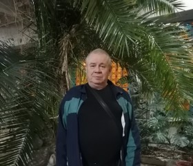 Андрей, 78 лет, Казань