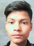 Yadav aditya, 19 лет, Firozabad