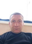 Андрей, 43 года, Красногородское