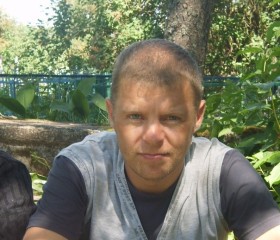 Андрей, 45 лет, Порхов
