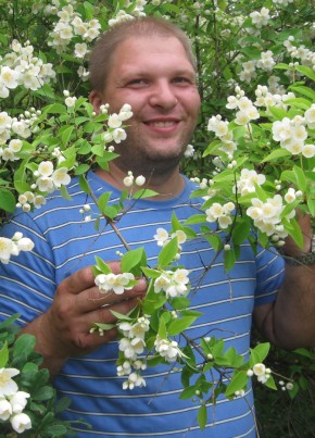 Aleksey, 47, Russia, Balashikha