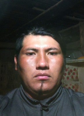 Javier sebastian, 31, República del Perú, Lima