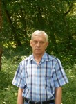 Виктор Нойман, 68 лет, Ettlingen