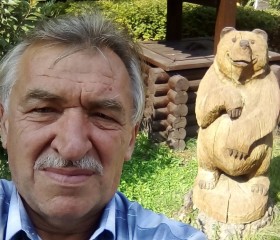 Vlad, 70, Aleksin