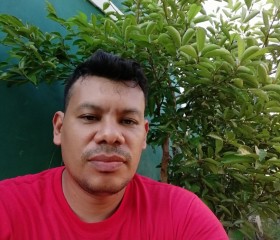 David, 41 год, San Pedro Sula