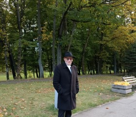 Петрович, 62 года, Гусев