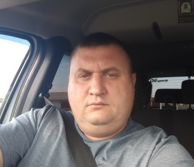 Александр, 42 года, Жітіқара