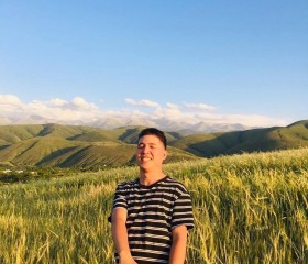 Амир, 22 года, Алматы