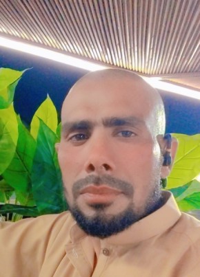 Saan