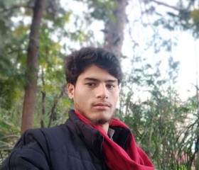 Dawar khan, 19 лет, اسلام آباد