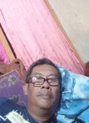 Bahar