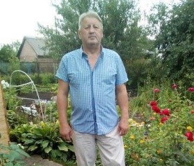 Михаил, 64 года, Тольятти