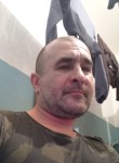 Дмитрий, 45 лет, Советск (Калининградская обл.)