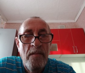 Александр, 68 лет, Воронеж
