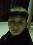 Владимир, 20 лет, Иркутск