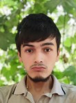 Muhammadali, 25 лет, Andijon